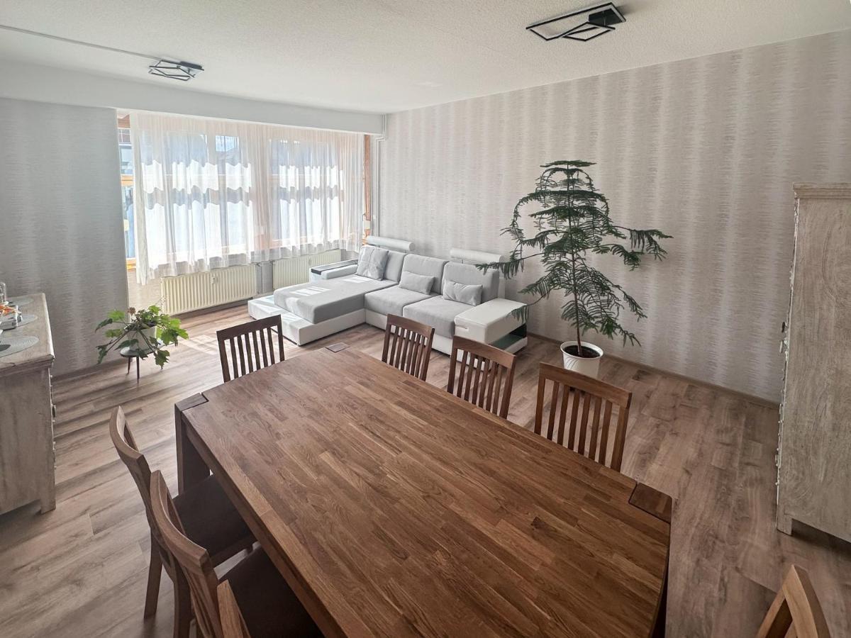 Schoene Altbauwohnung Mit Grosser Sonnenterrasse Рудольштадт Экстерьер фото
